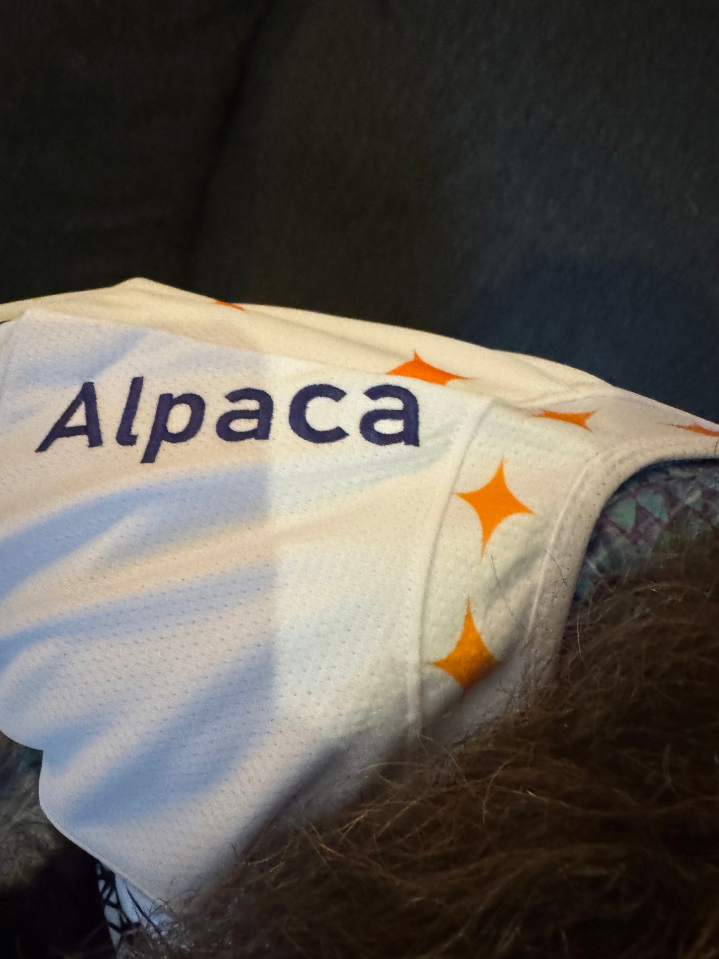 Bekky Star Hockey Jersey